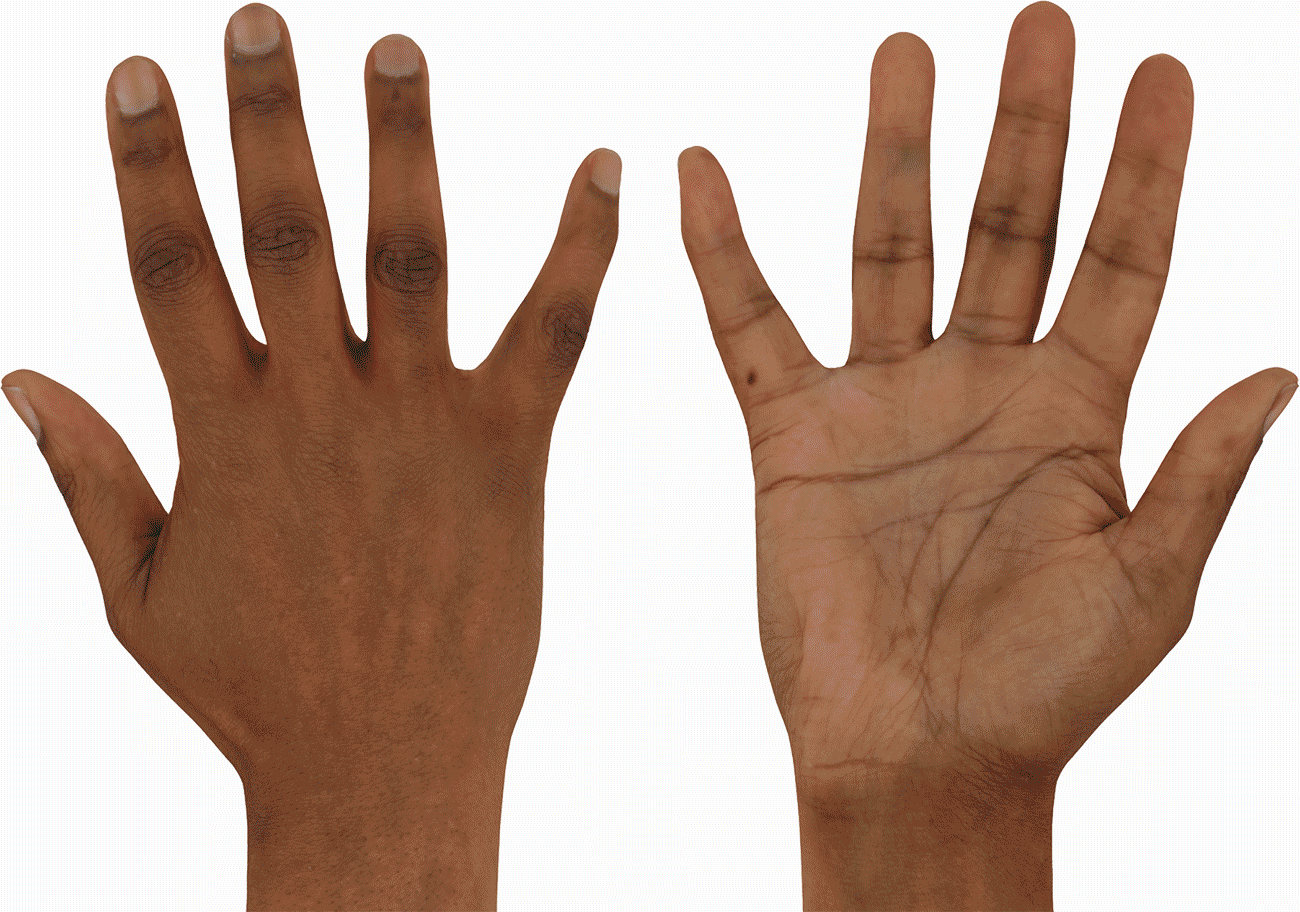 UV mapped 3D Hand Model